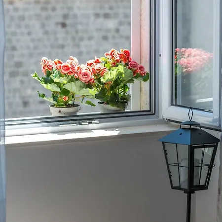 Fora Apartments Dubrovnik Extérieur photo